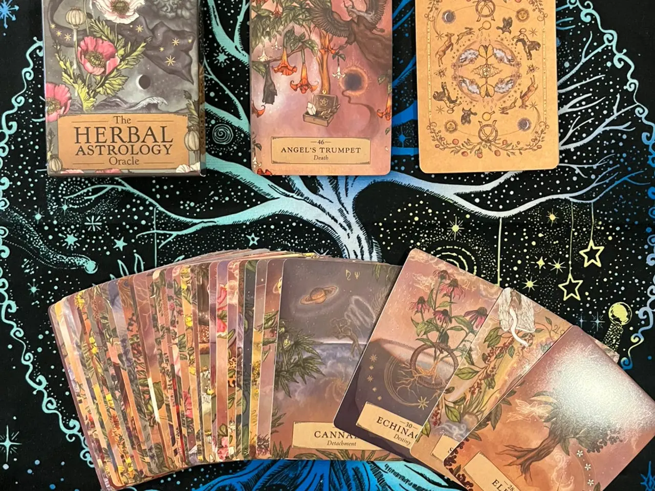 Billede 2 - Oracle Kort: The Herbal Astrology