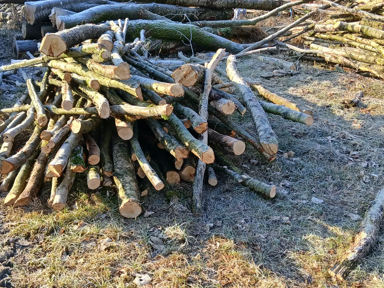 Billede 4 - Brænde af birketræ