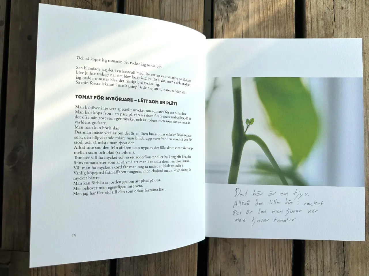 Billede 5 - Stefans Store Feta Röta – Stefan Sundström