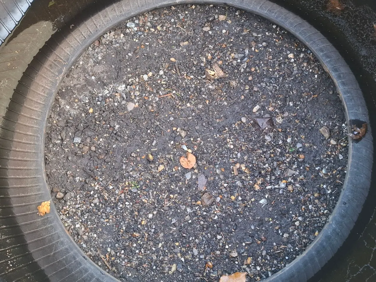 Billede 7 - Mitas 600/65R28 XXX