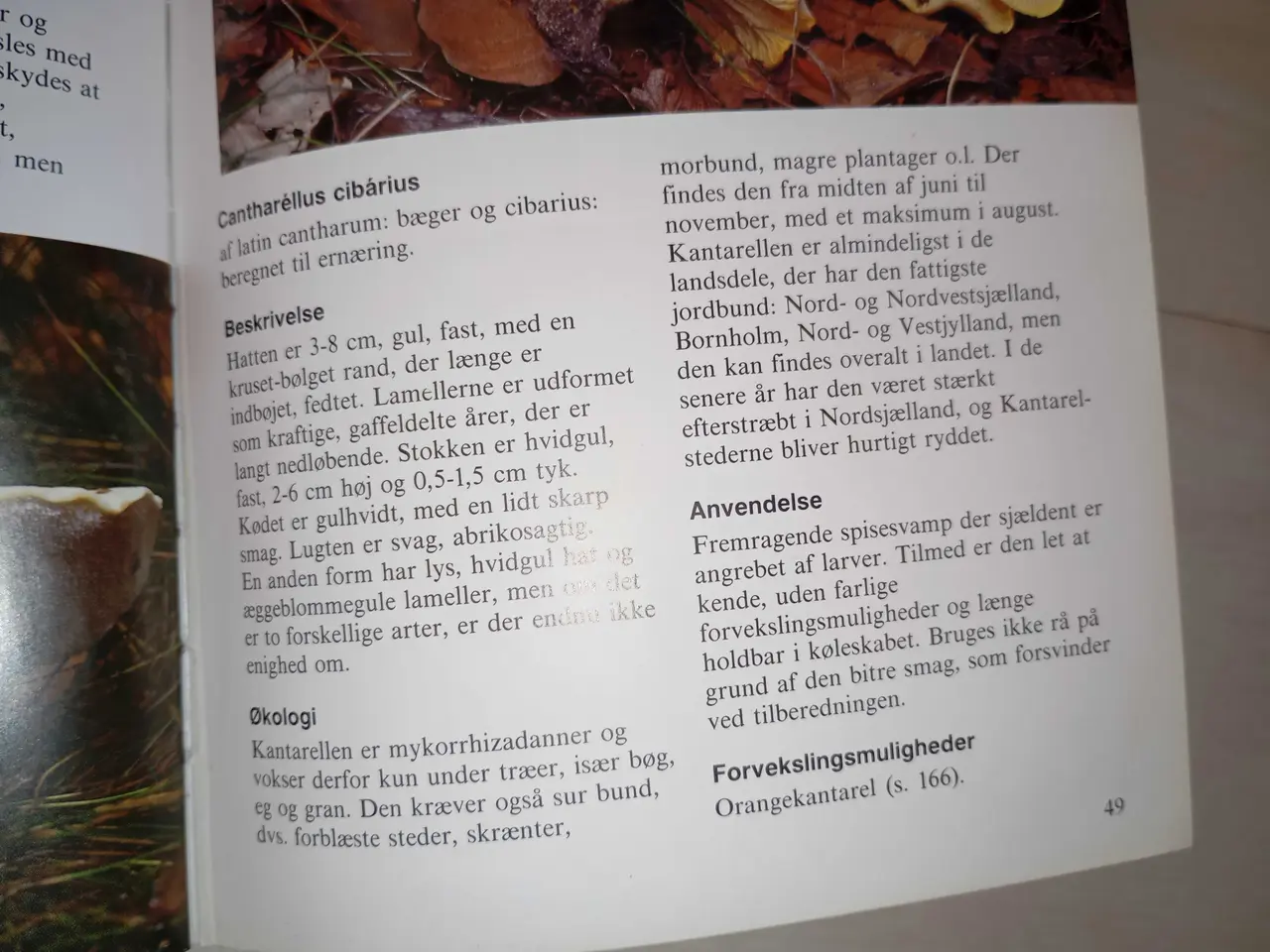 Billede 5 - Svampebog Politikens.