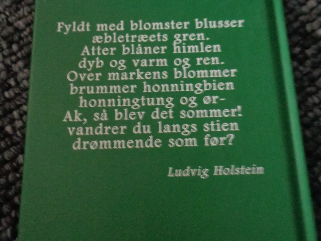 Billede 3 - Livets træ