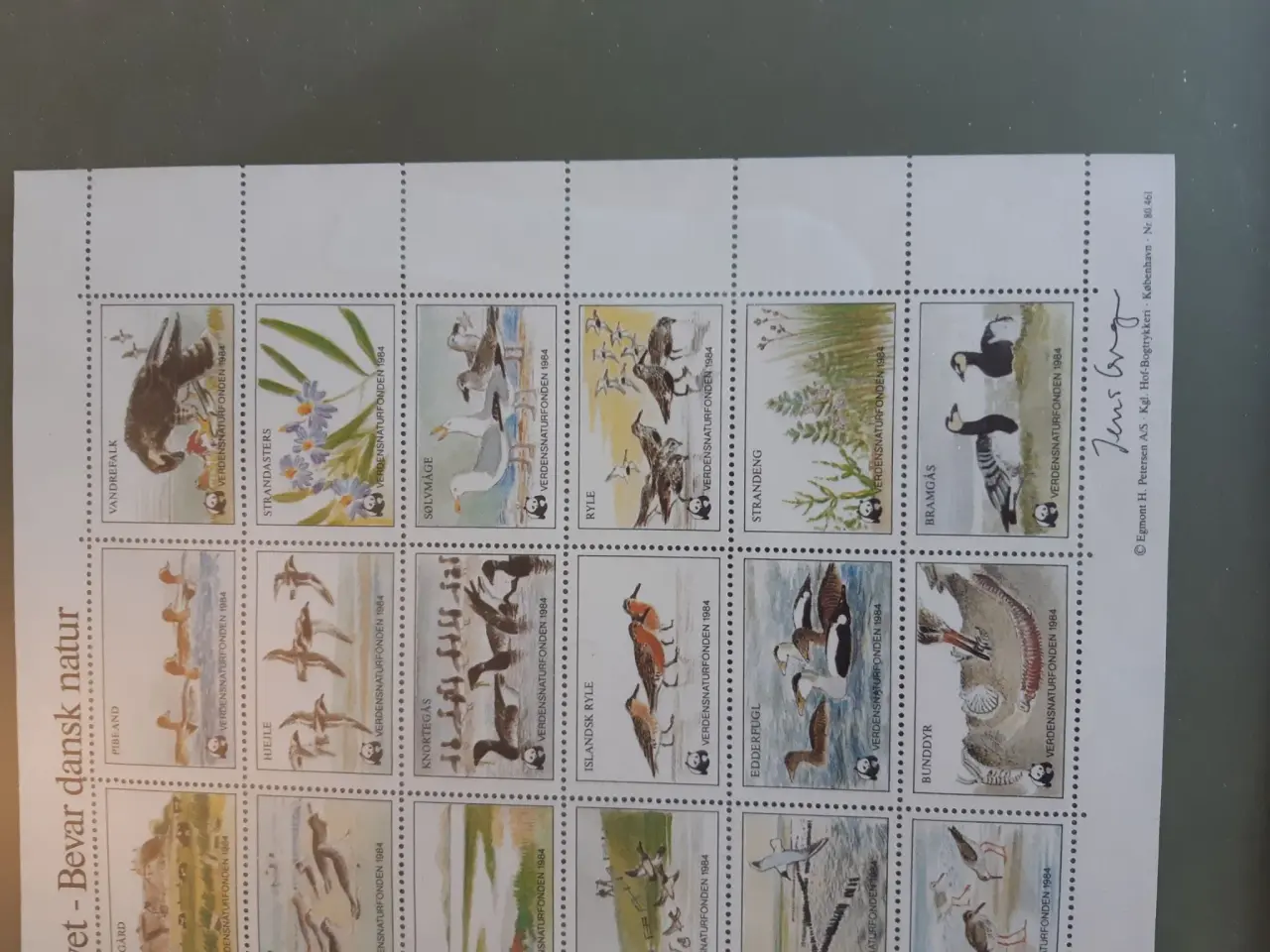Billede 2 - WWF Naturmærker i ramme.