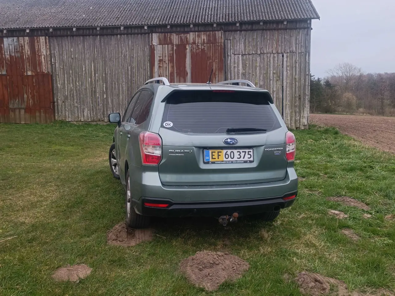 Billede 4 - Subraue Forester