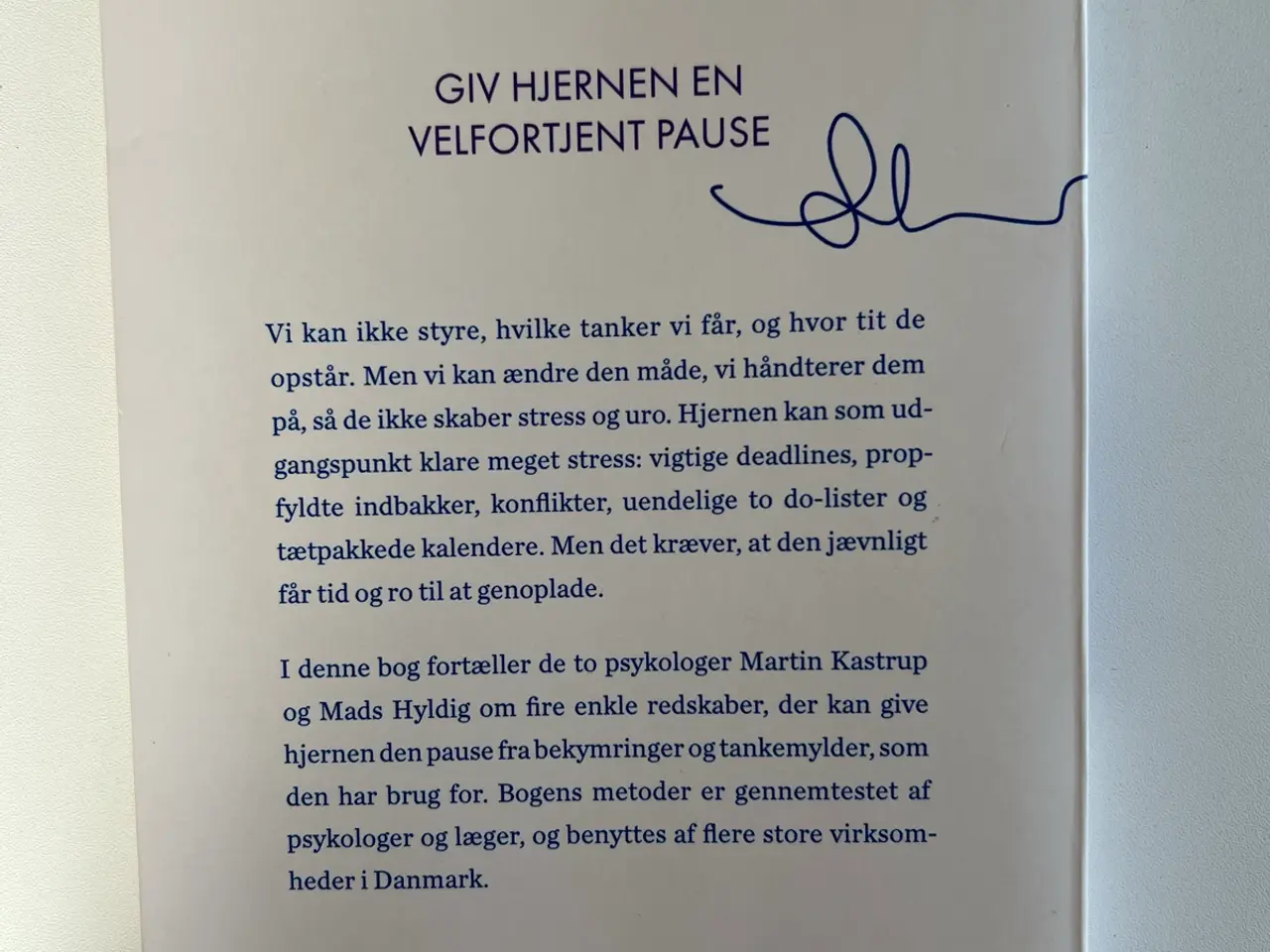 Billede 2 - Hjerner af Mads Hyldig