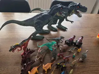 Forskellige dinosaurer 