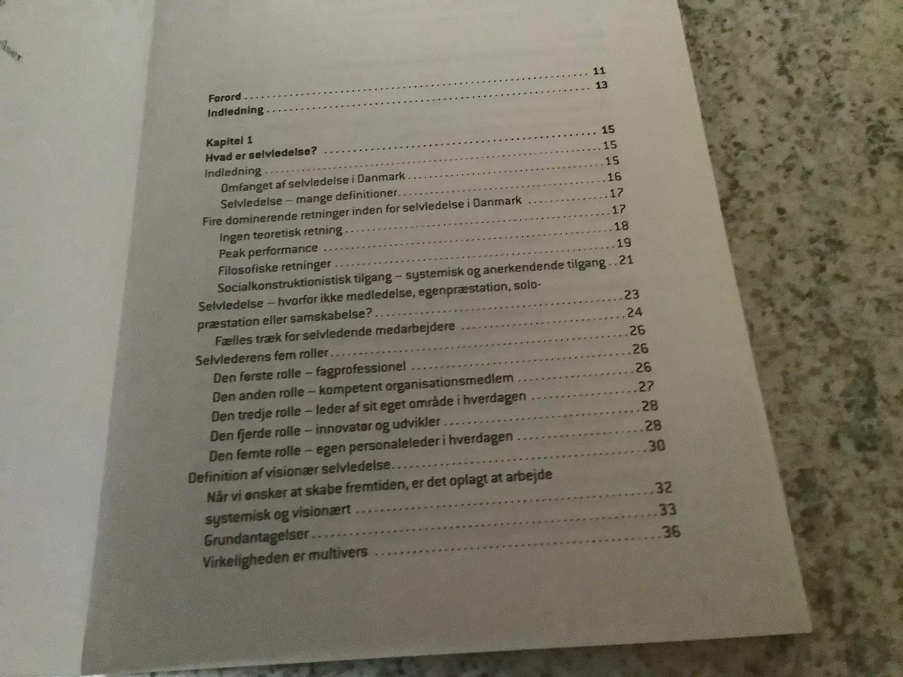 Billede 2 - Helt ny “Ledelse af selvledelse” Sanina Kurstein