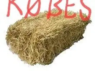 HALM KØBES - vårbyghalm i små baller