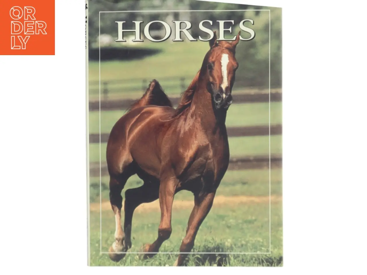 Billede 1 - World of Horses af Angela Rixon (Bog)