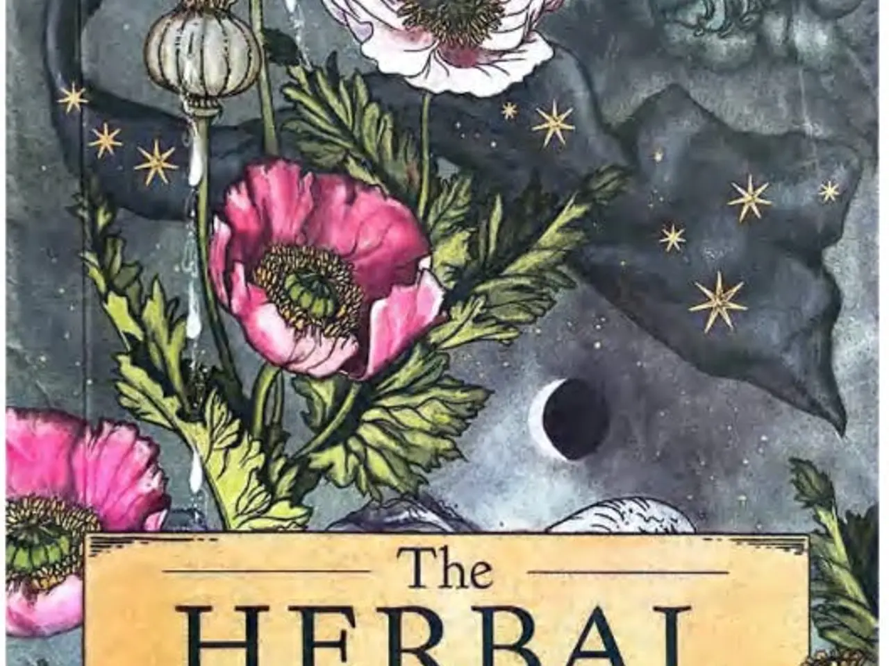 Billede 3 - Oracle Kort: The Herbal Astrology