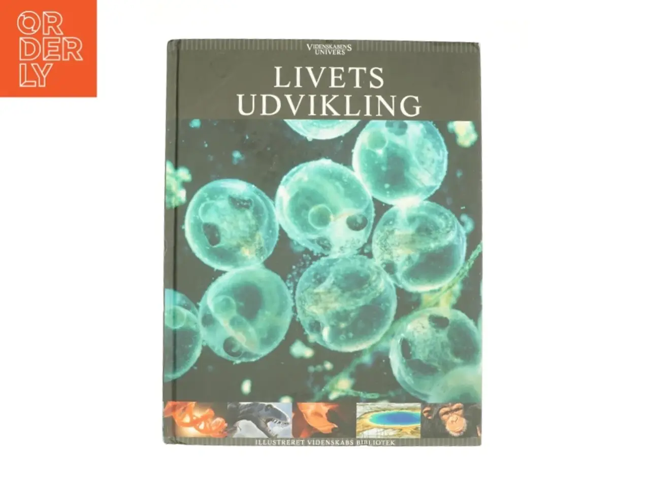 Billede 1 - Livets udvikling (Bog)