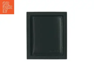 Pung fra Teehon (str. LB 12x10)