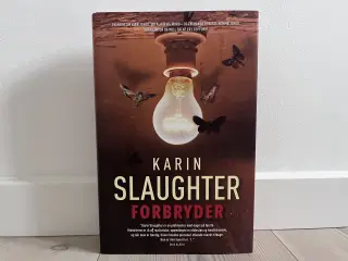Forbryderen, Karin Slaughter, Krimi