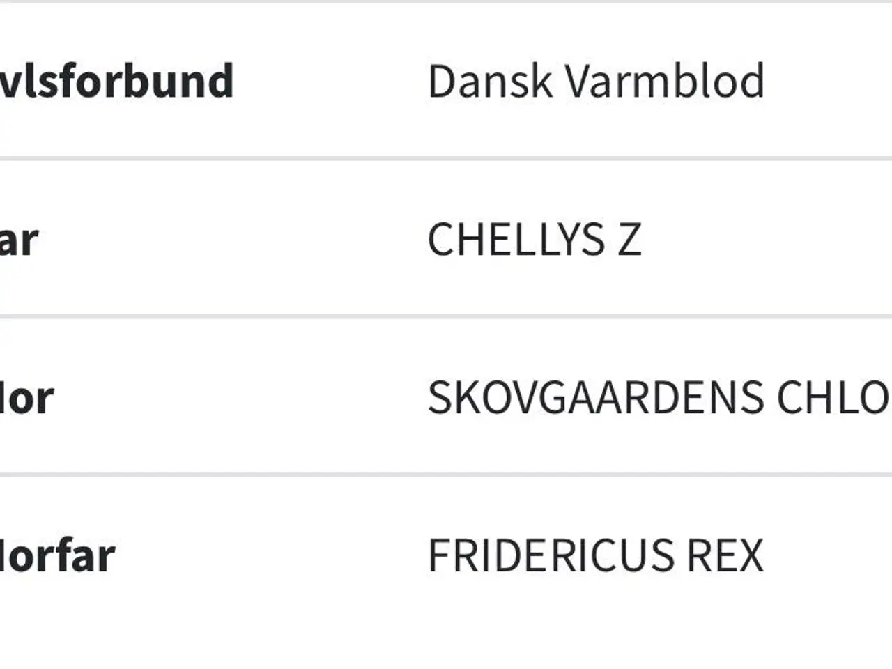 Billede 3 - Smuk DV hoppe sælges