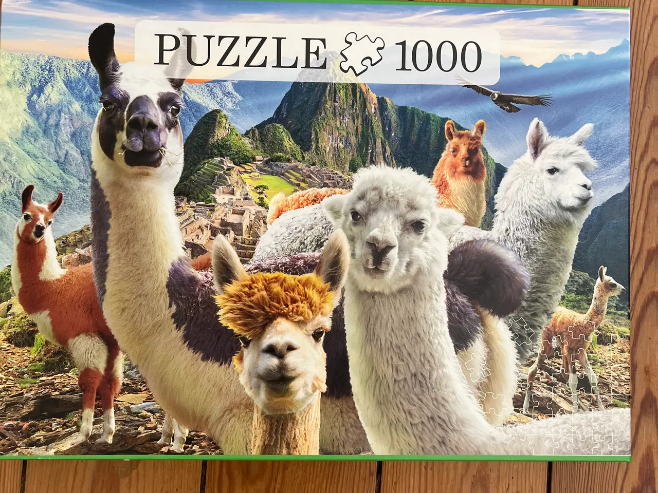 Billede 7 - Forskellige Puslespil - 1000 brikker