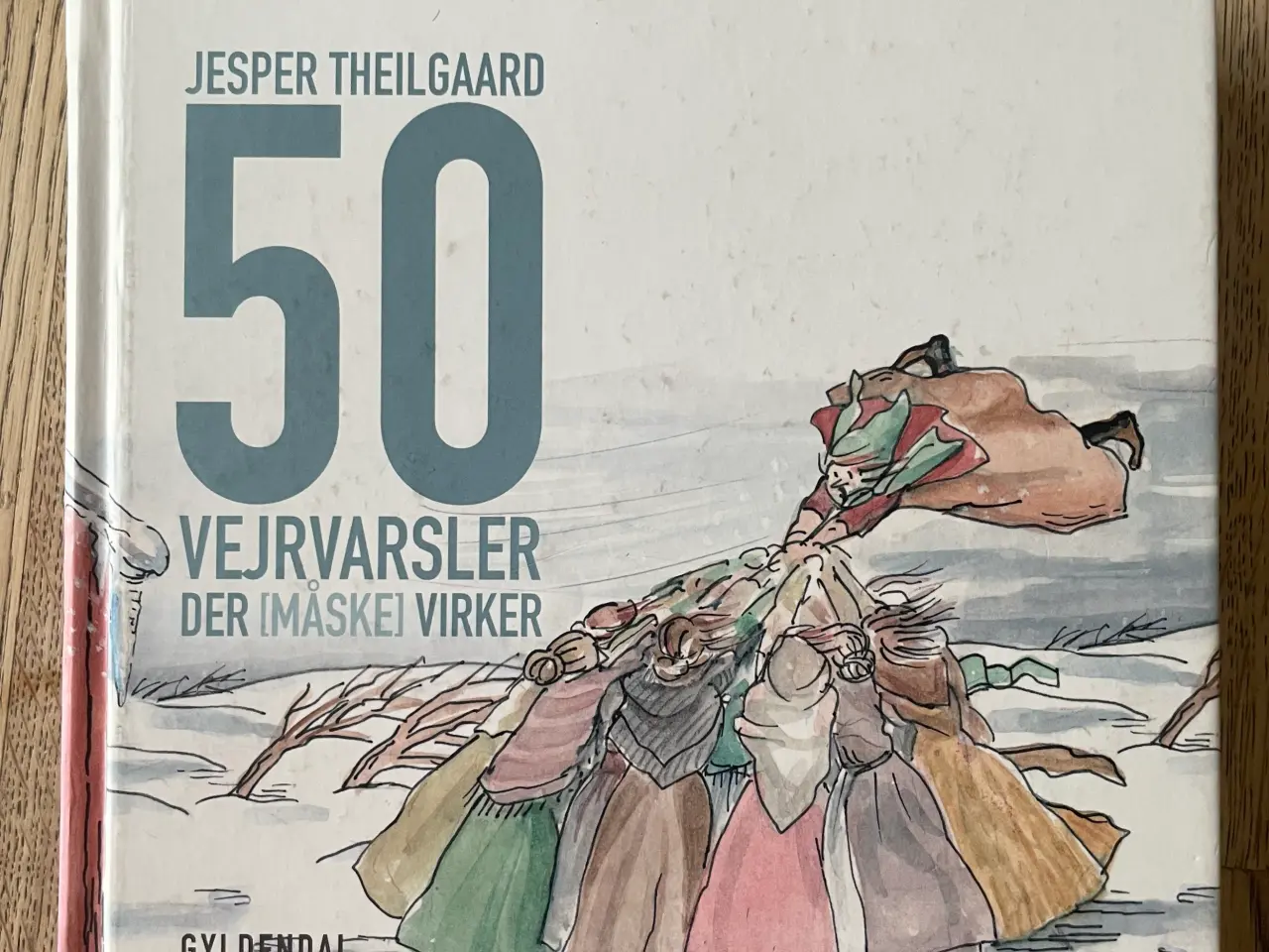 Billede 1 - 50 vejrvarsler, Jesper Theilgaard