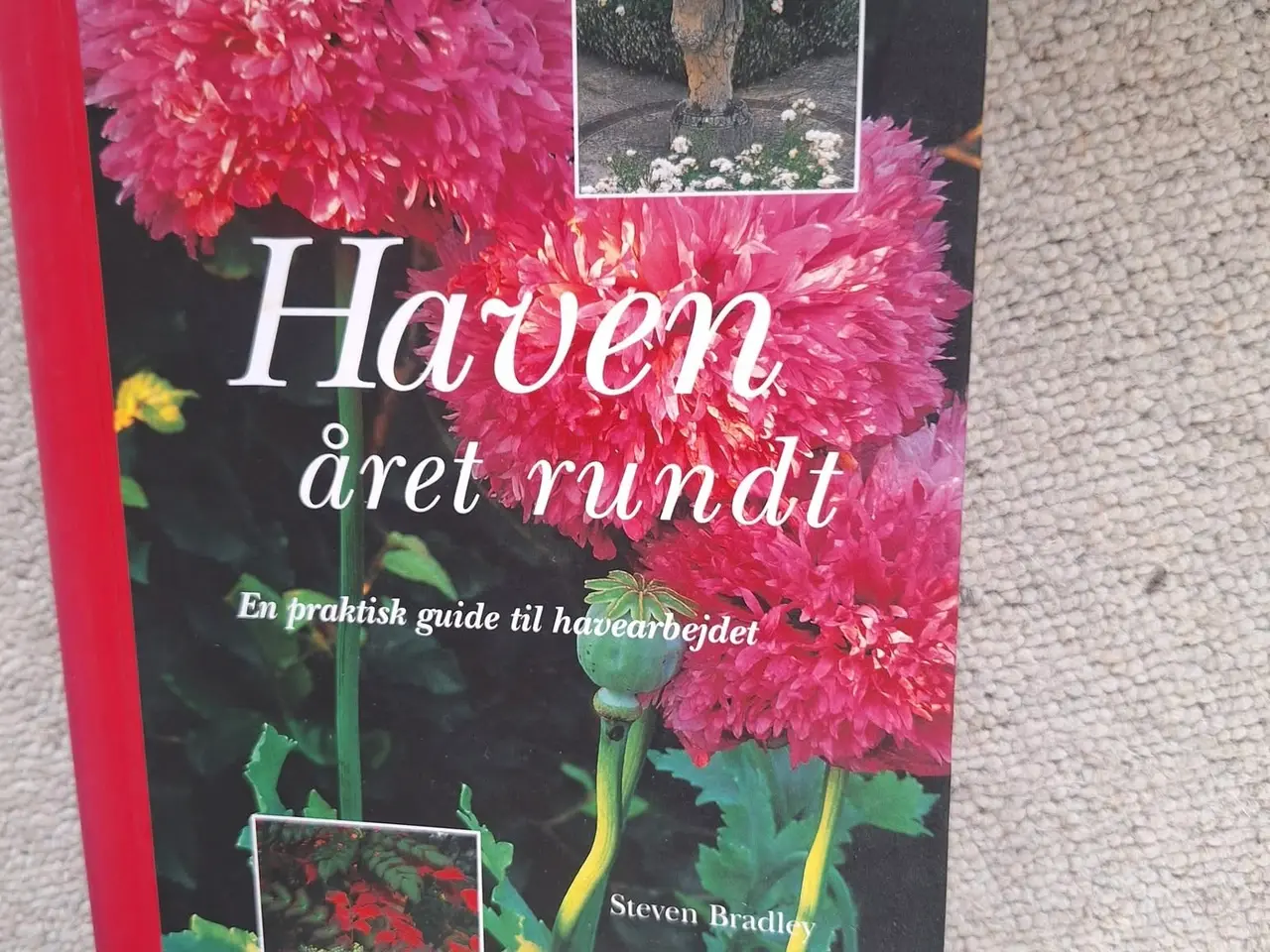 Billede 1 - Haven året rundt, sælges..