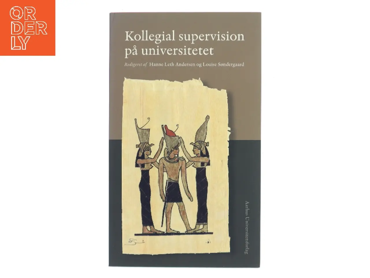 Billede 1 - Kollegial supervision på universitetet (Bog)