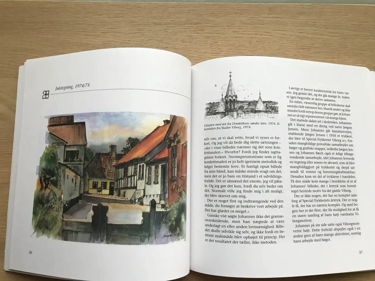 Billede 5 - Johannes Bæch's Viborg