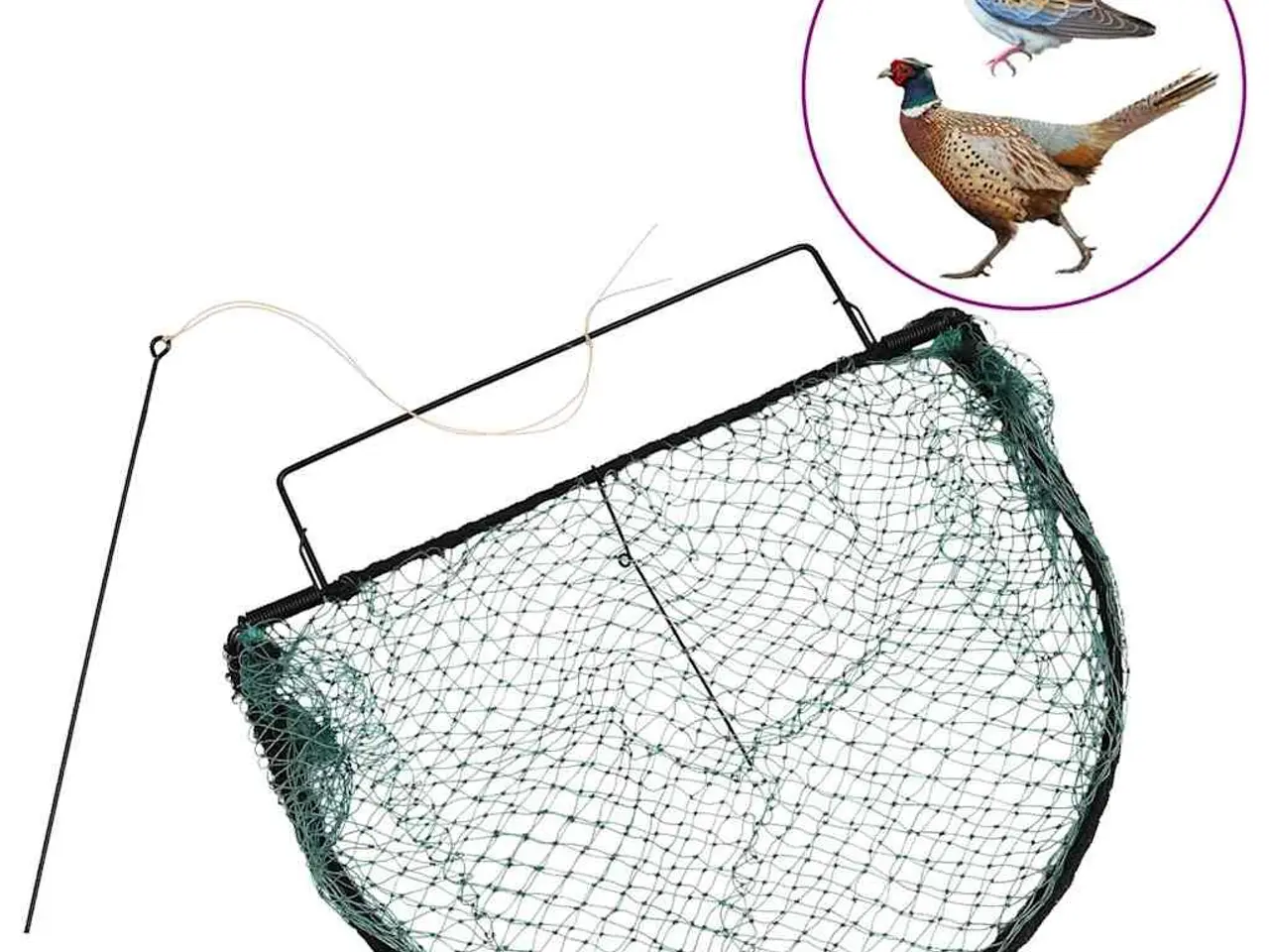 Billede 1 - Fuglenet 50 cm - stålramme, grøn