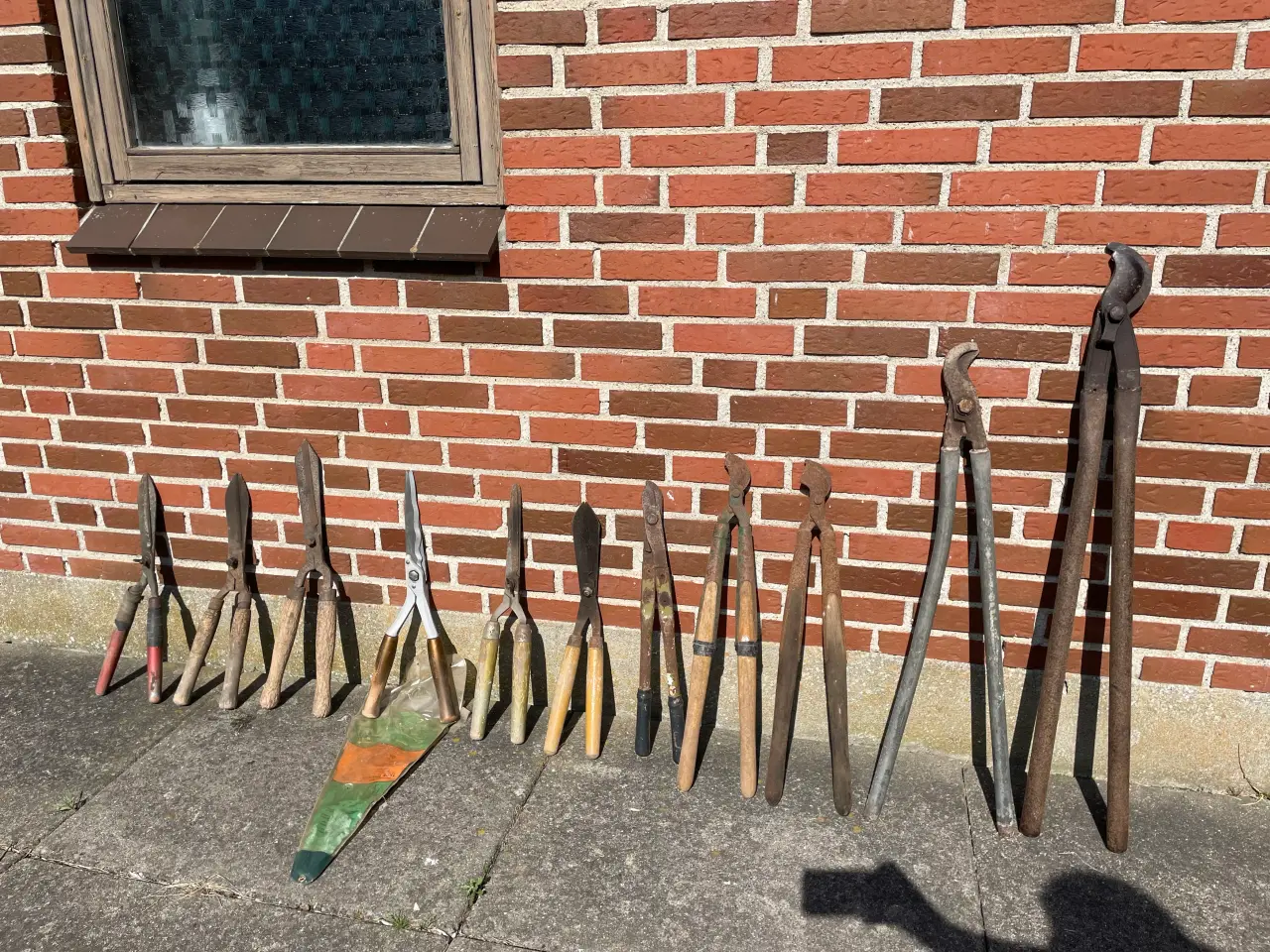 Billede 6 - Ørnenæb og hække sakse