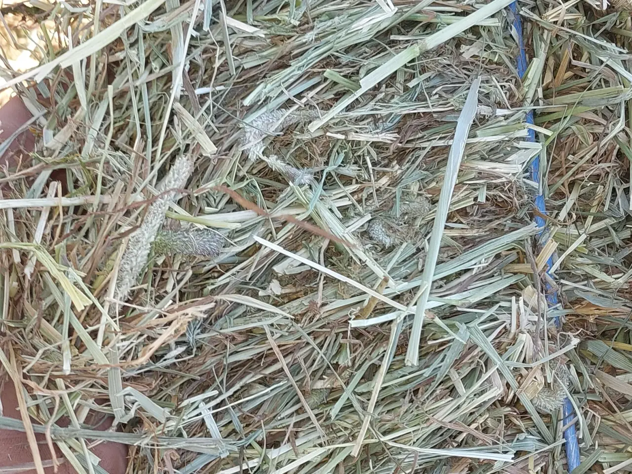 Billede 4 - 🐴🐴 KVALITET'S WRAP SÆLGES 🐂🐂 Pakket stationær