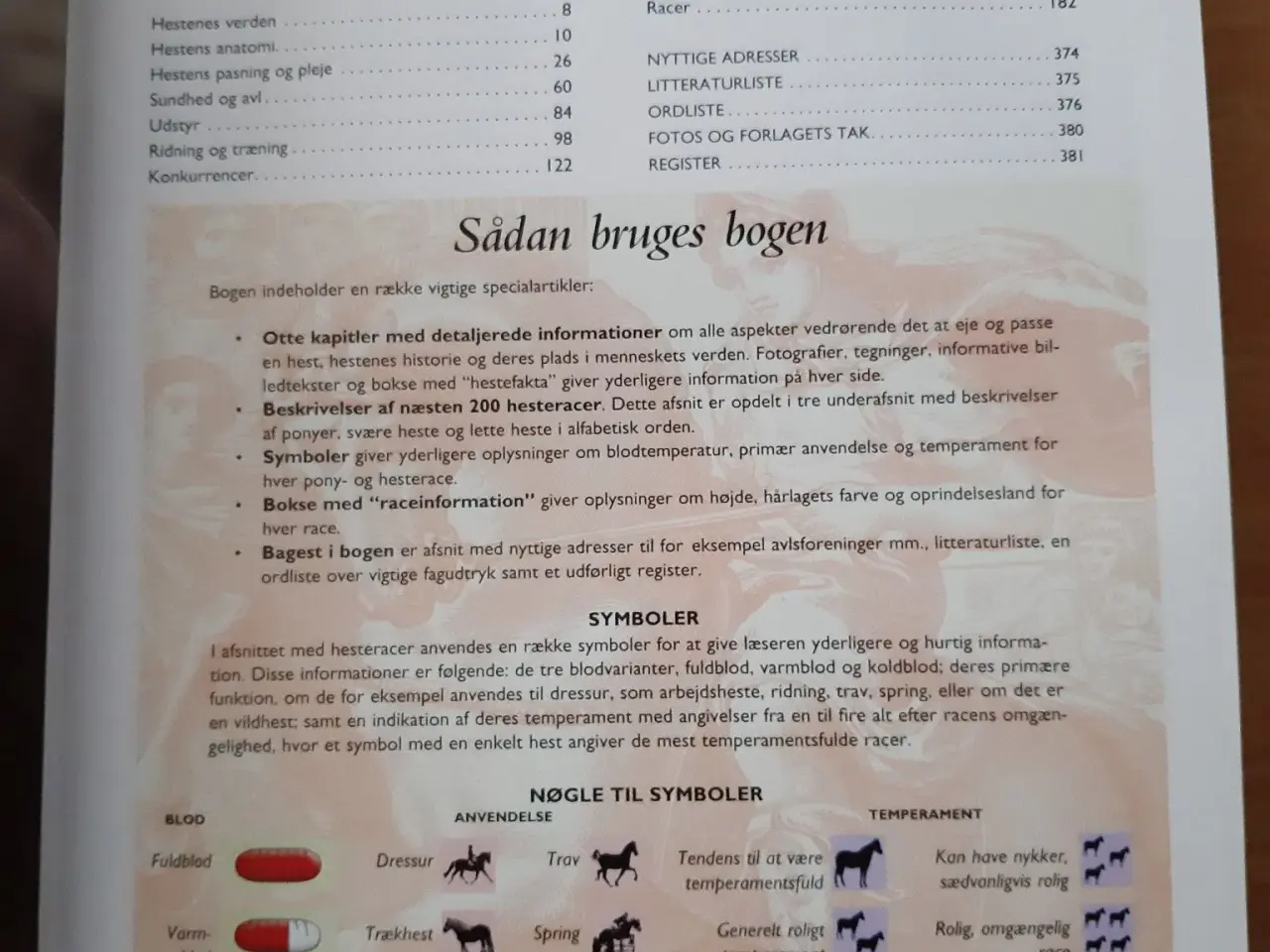 Billede 12 - Flotte Bøger om HESTE.