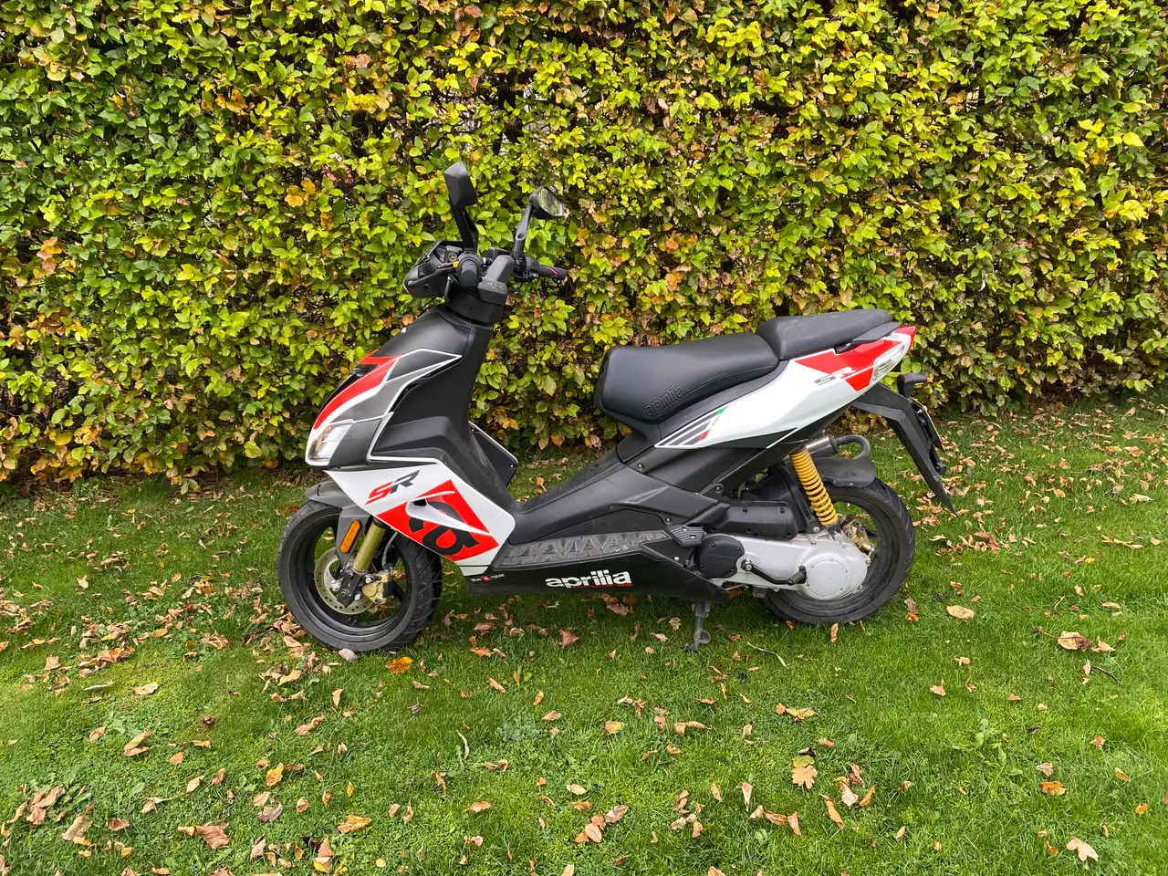 Billede 1 - Knallert/scooter (30km/h)