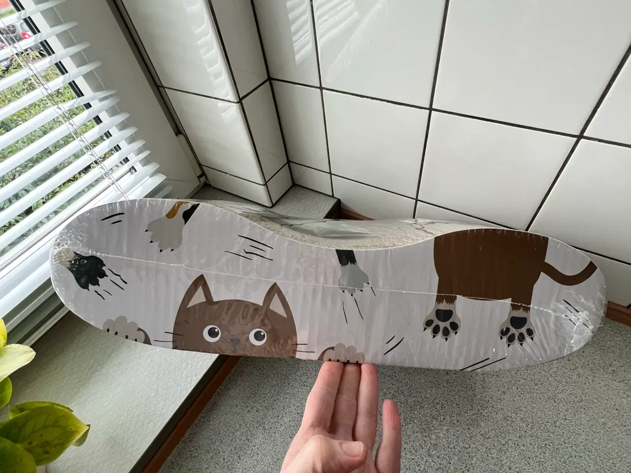 Billede 3 - Komplet pakke til katte