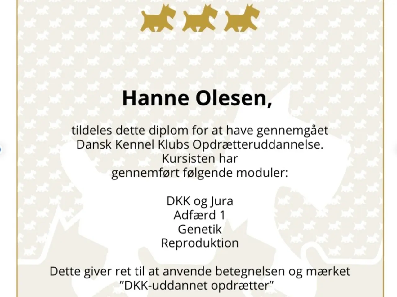 Billede 14 - Race Rene stor pudler sorte og hvide .