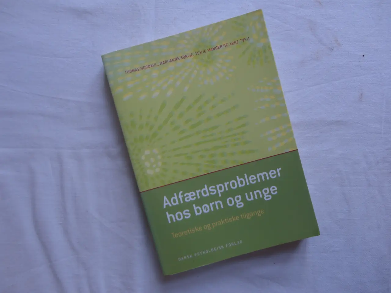 Billede 1 - Adfærdsproblemer hos børn og unge :