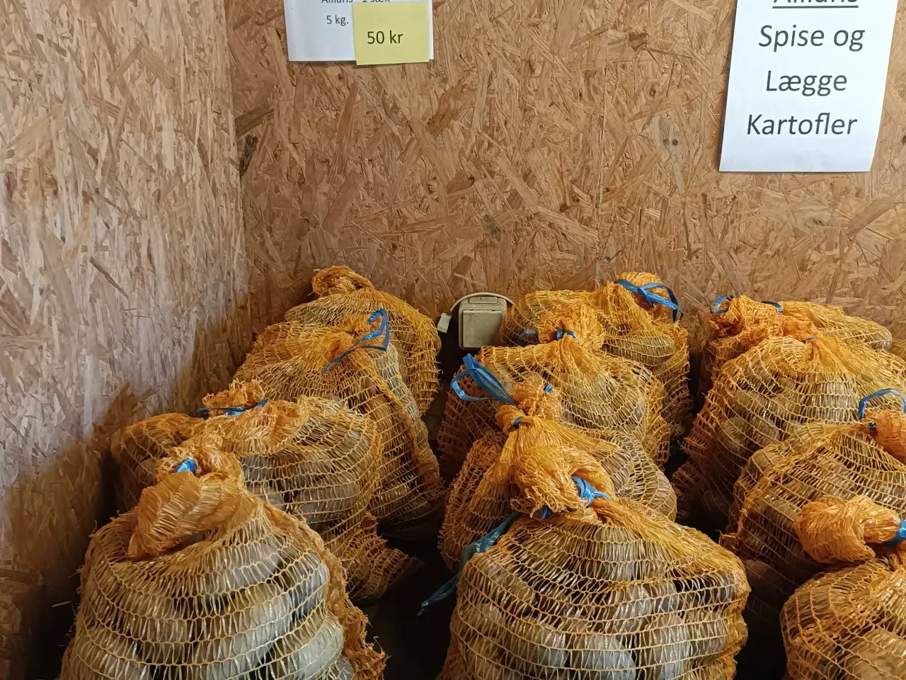 Billede 2 - Allians spise og lægge kartofler 