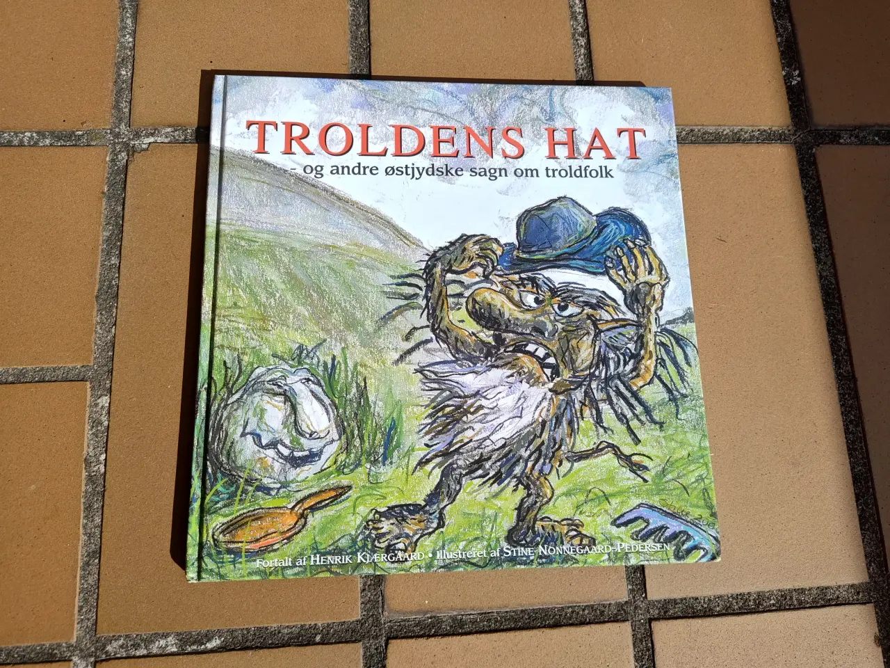 Billede 1 - Troldens hat - og andre østjydste sagn bog