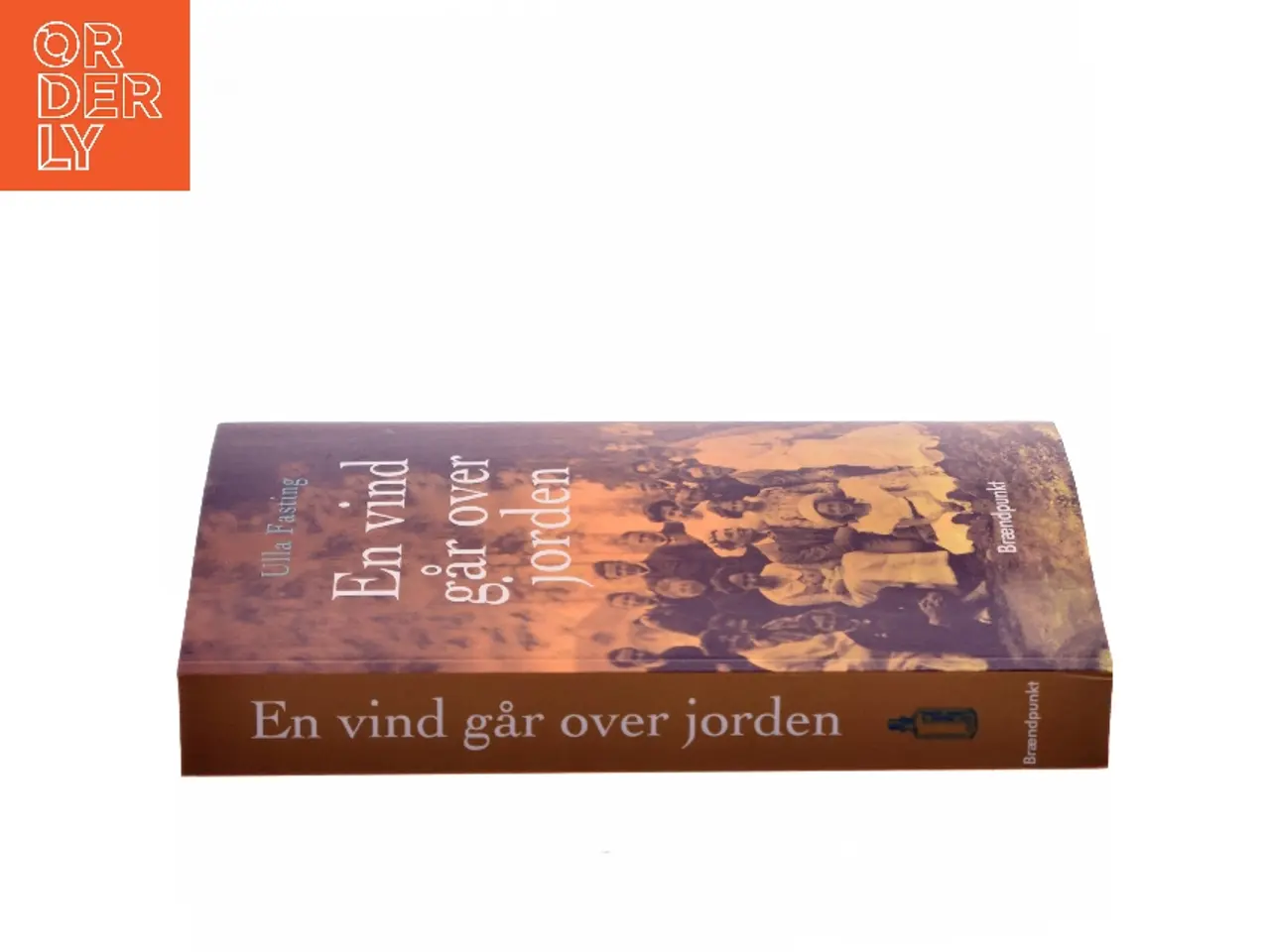 Billede 2 - En vind går over jorden : roman af Ulla Fasting (Bog)