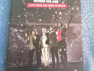 One Direction - Where We Are Live from San Siro St