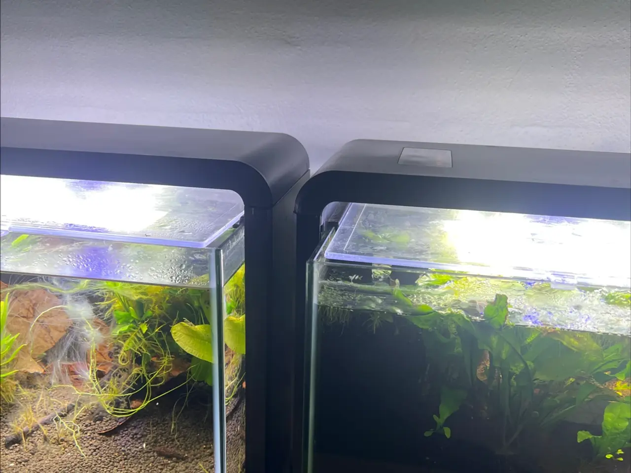 Billede 3 - Små akvarier