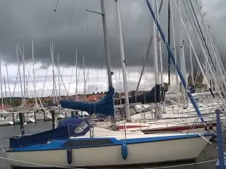 Maxi 77 Sælges