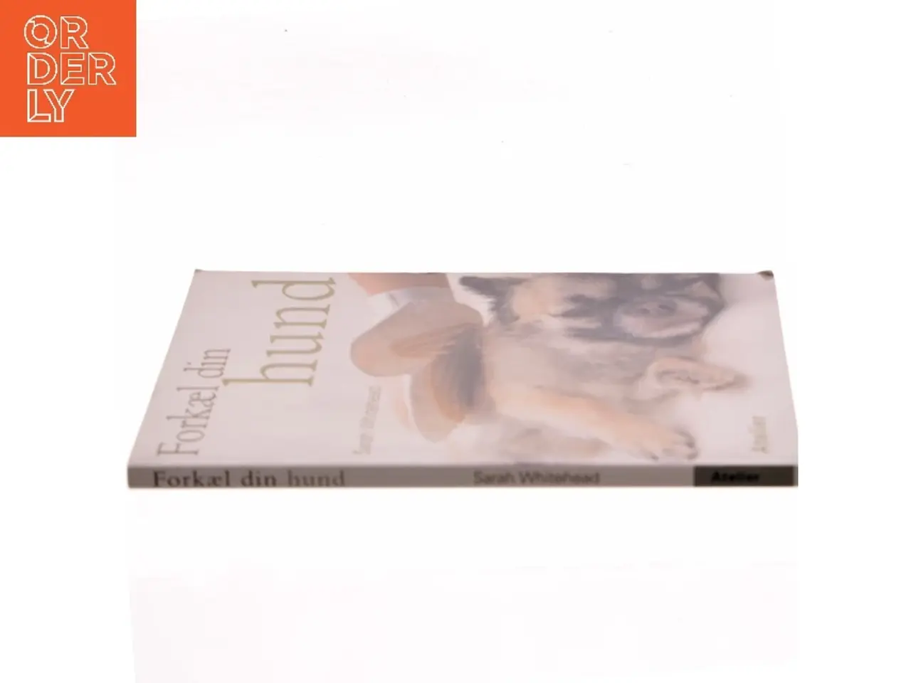 Billede 2 - Forkæl din hund af Sarah Whitehead (Bog)