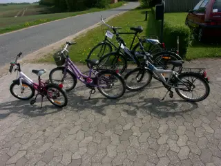 Div. Cykler