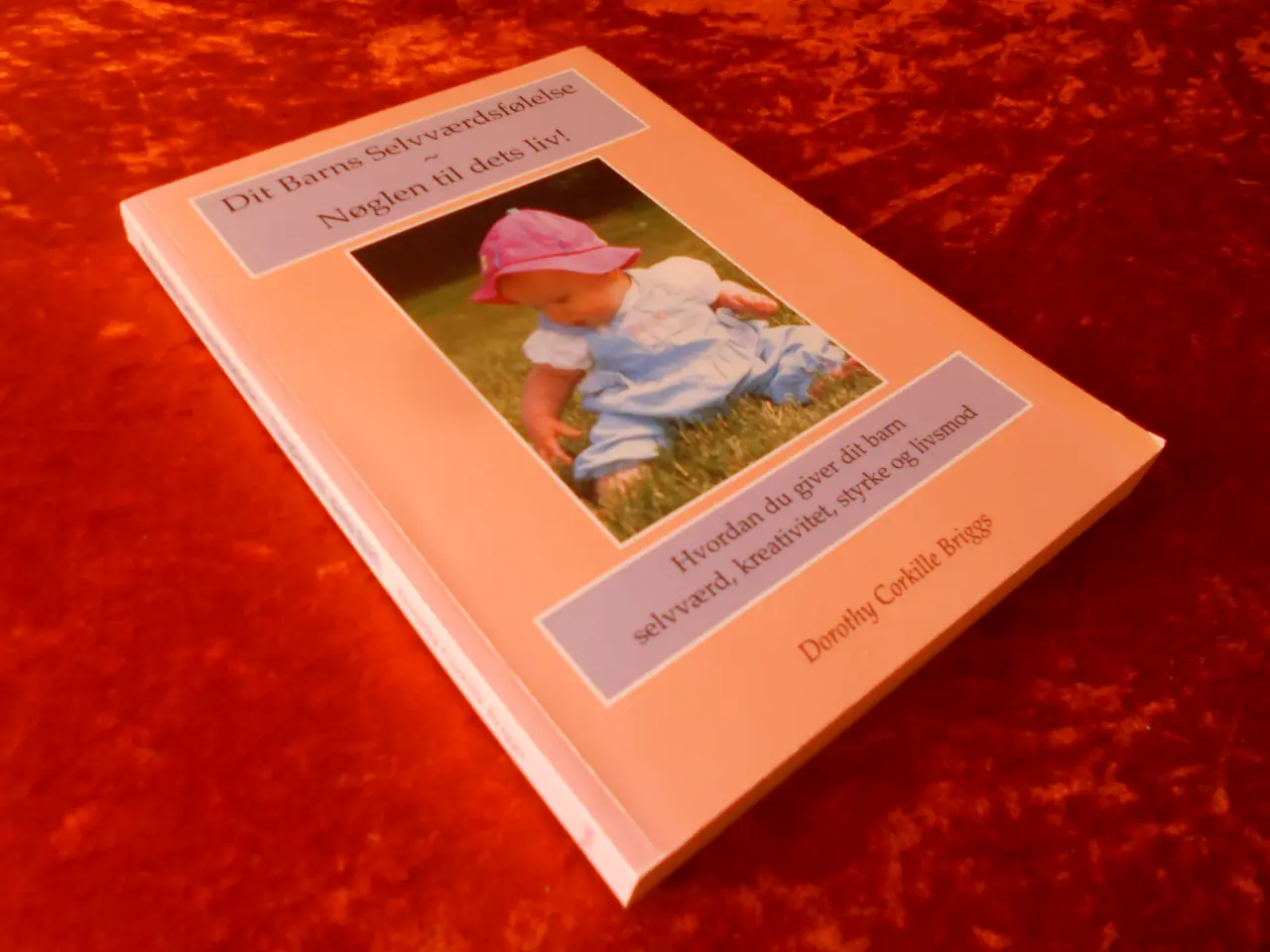 Billede 1 - Dit barns selvværdsfølelse Dorothy Corkille Brigg
