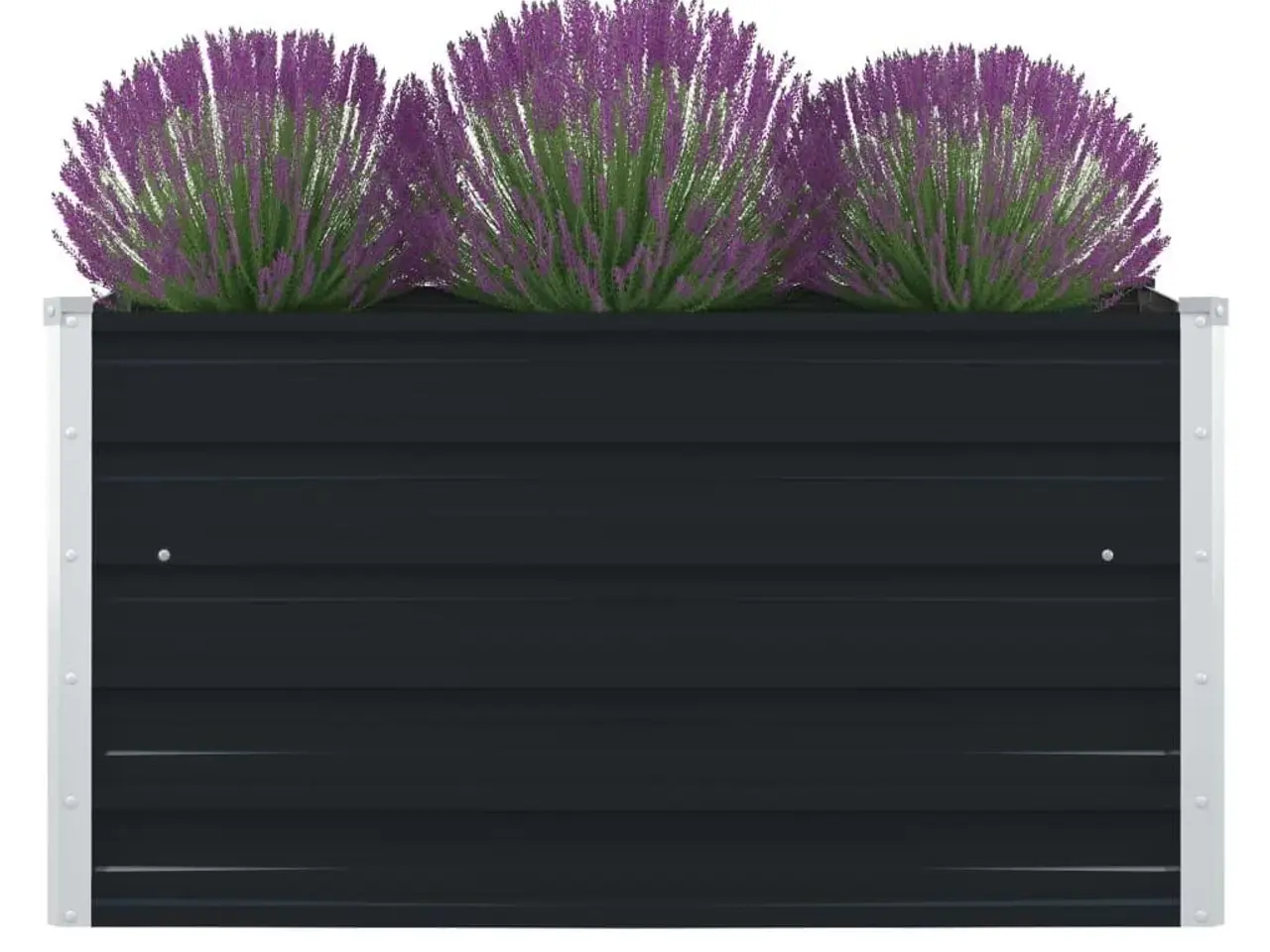 Billede 1 - Forhøjet blomsterbed 100 x 100 x 45 cm - antracitgrå