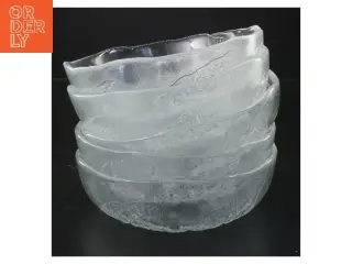Glas skåle 5 stk Ø 17 cm (str. 5 stk Ø 17 cm)