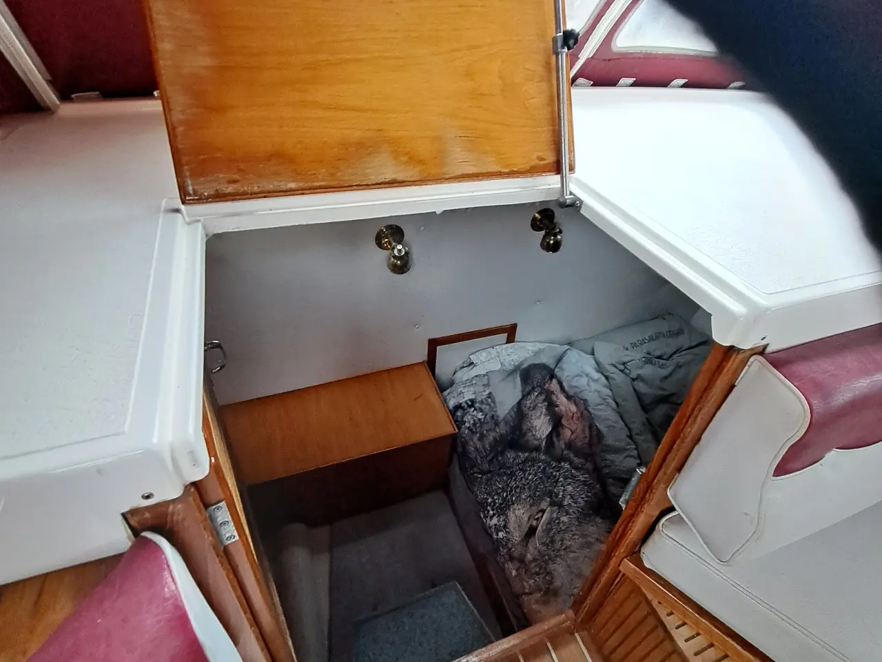 Billede 11 - Skagerrak 900 Gerne byttehandel