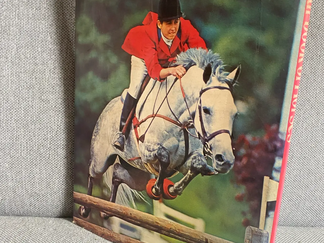 Billede 8 - Heste bog KUN 65kr