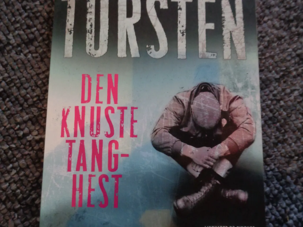 Billede 1 - Den knuste tang-hest