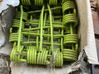 Claas