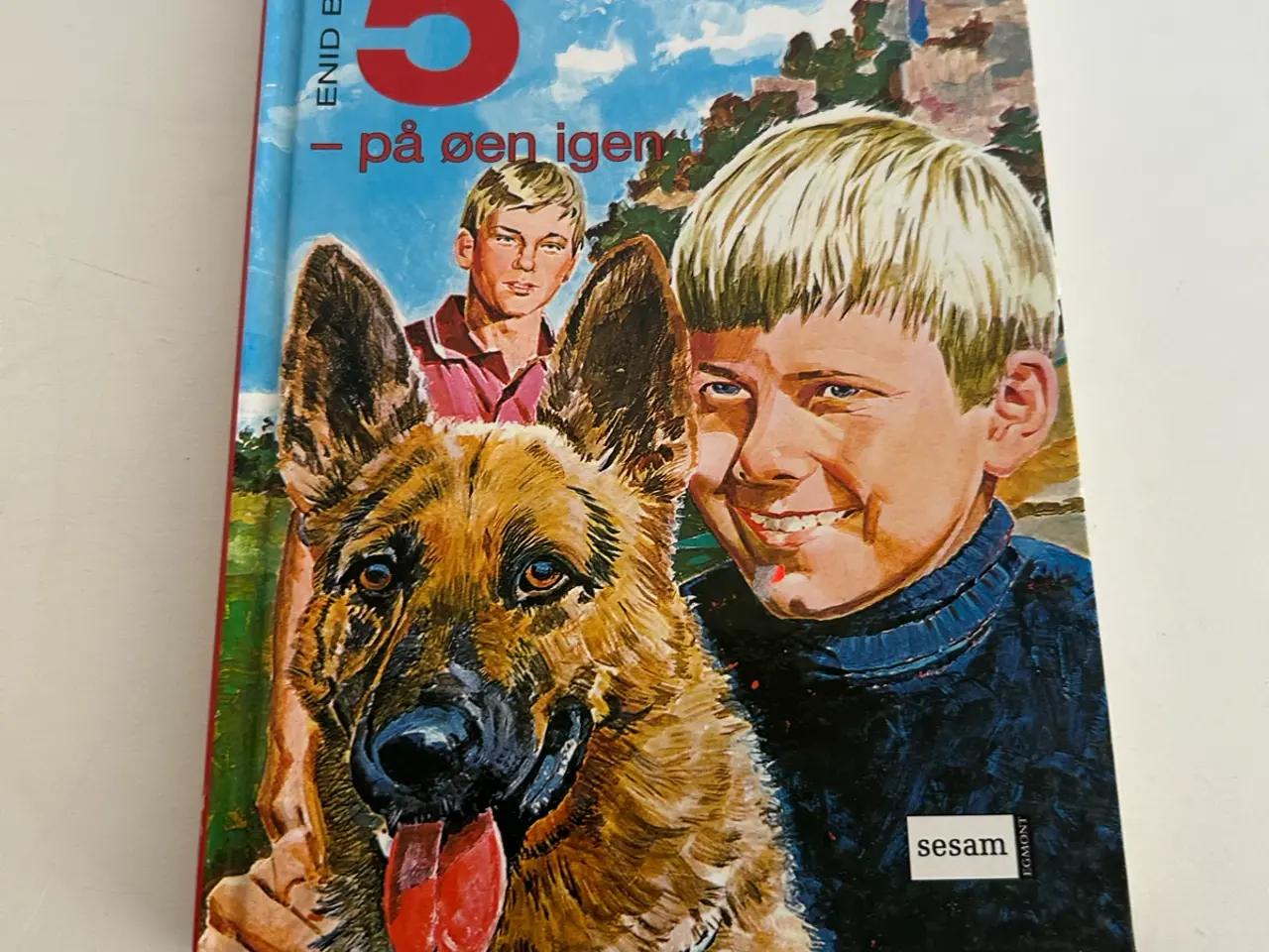 Billede 1 - De 5 - på øen igen