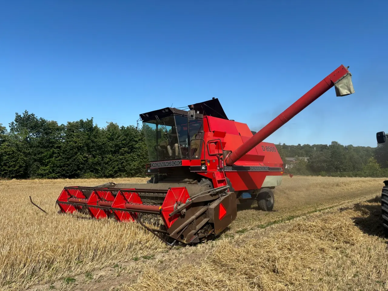 Billede 12 - Dronningborg 8500