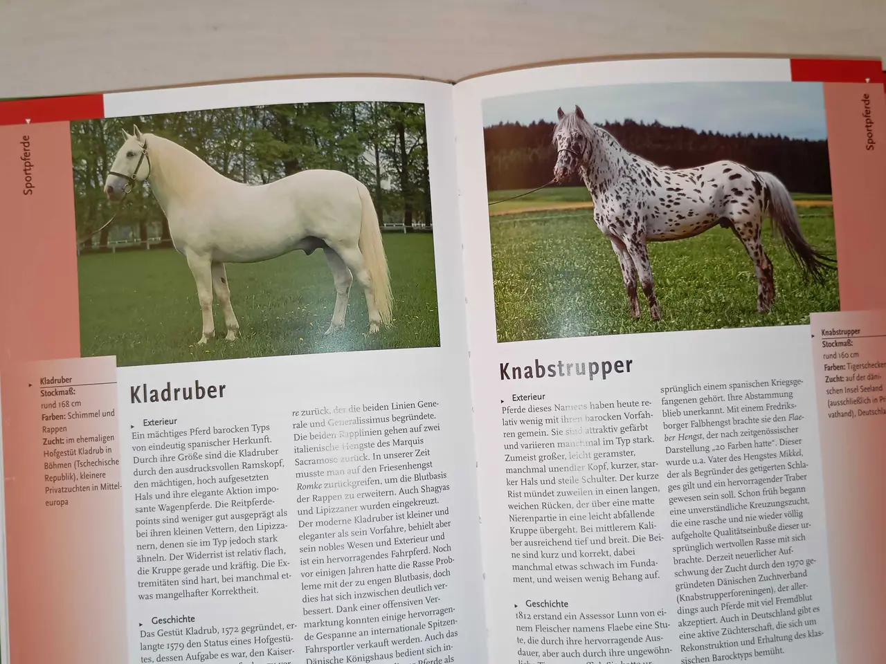 Billede 6 - Verdens pony og hesteracer. Flot bog