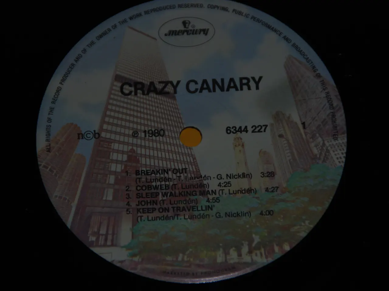 Billede 5 - Vinylplade - Crazy Canary
